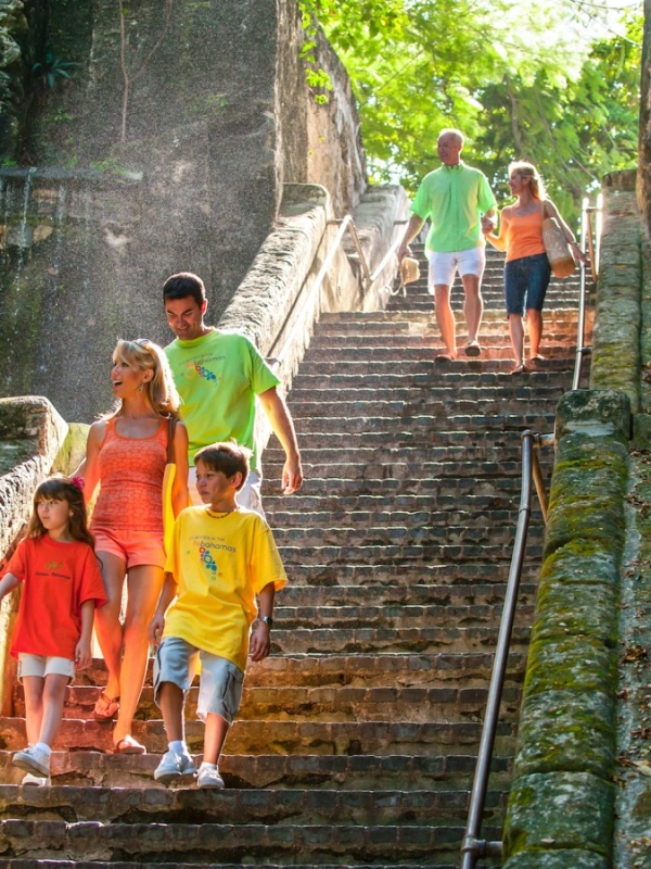 DISCOVER NASSAU LAND & SEA TOUR